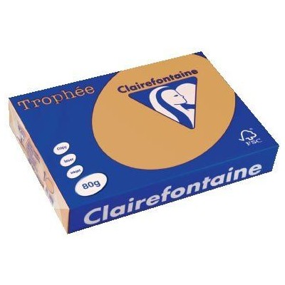 R/500F CLAIRFONTAINE TROPHEE 80G A4 CARAMEL 1879