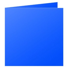 Paquet de 25 cartes pliée Pollen 160x160 bleu nuit