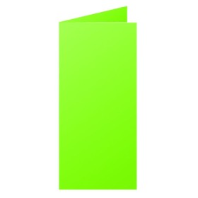 Paquet de 25 cartes pliée Pollen 106x213 vert menthe