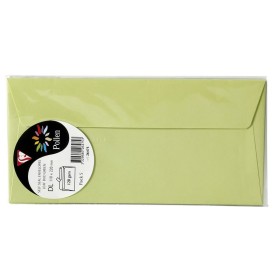 Sachet de 5 enveloppes Pollen 110x220 vert bourgeon