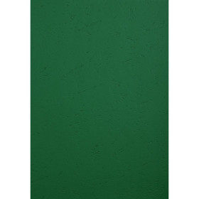 PK 100 couvertures FOREVER Vert A4 270G
