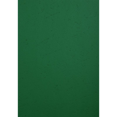 PK 100 couvertures FOREVER Vert A4 270G