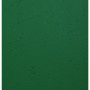 PK 100 couvertures FOREVER Vert A4 270G