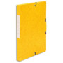 PRG BTE CLASMT+ELS CTE 25MM J