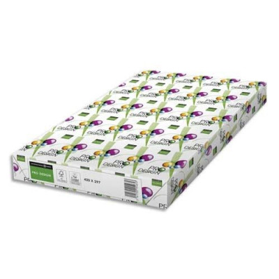 INA R/125F PRODESIGN A3 250G 8000345