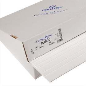 CAN FEUIL CRTN PLUM B 70X100 C205154408