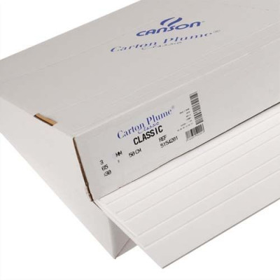 CAN FEUIL CRTN PLUM B 70X100 C205154408