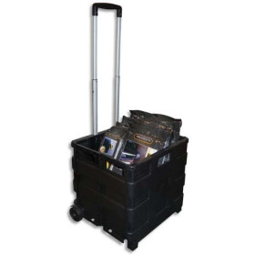 VIS CASIER PLIABLE POLYPRO N TROLLEY GP - SG98F