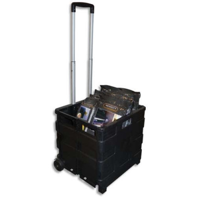 VIS CASIER PLIABLE POLYPRO N TROLLEY GP - SG98F