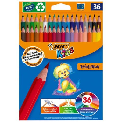 BIC P/36 CRAY EVOLUTION ASS 950526
