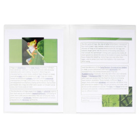 Chem.de présent.double poche PP CRISTAL