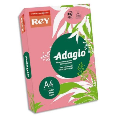 INA R/500F ADAG A4 80G FRAMBOI F 8001591
