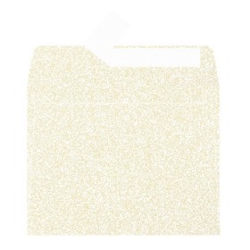 Paquet de 20 enveloppes Pollen 90x140 ivoire irisé