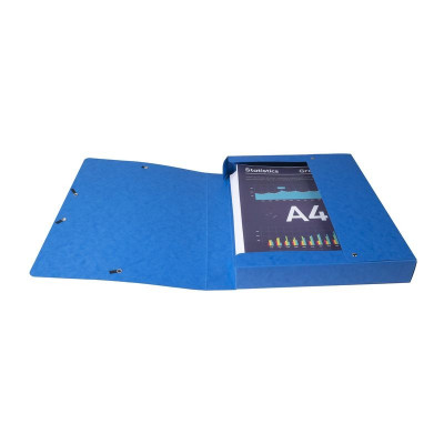 Bte Classement CL D40 EXABOX NF Ass.