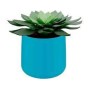 Pot pour plantes COSY Leitz, Bleu