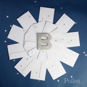 Paquet de 20 enveloppes Pollen 110x220 blanc
