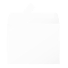 Paquet de 20 enveloppes Pollen 90x140 blanc