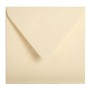 Paquet de 20 enveloppes Pollen 140x140 ivoire