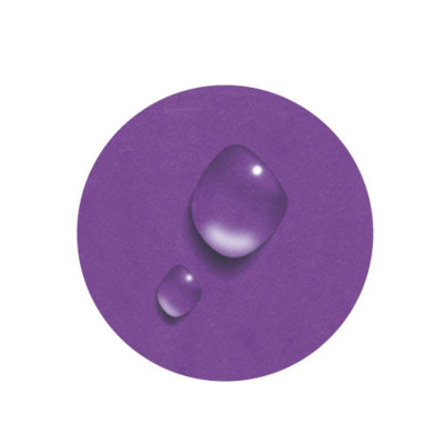 Classeur A4 2anxØ15mm Iderama violet