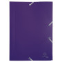CHEM.A4 3RAB+ELAST PP 24X32 MAUVE