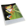 Porte-vues 80V KC chroma. blanc transp.