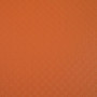 BTE CLAS. D25mm PP 7/10e Orange