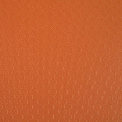 BTE CLAS. D25mm PP 7/10e Orange