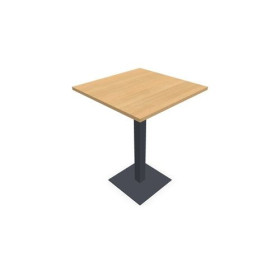 SPIRIT T SNACK CARRE L80 H105RI SC