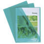 SACH. 10 POCHETTES COINS  PVC VERT