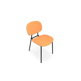 SOFIA LOT 2 CHAISES POLYPRO 4PIEDS PL SG