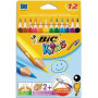 BIC E/12 CRAY EVOLUTION TRIANG 82973511