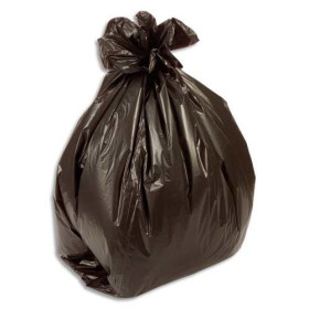 SAC B/500 SACS POUB FIN 5OL N 12 124064 - SG66B