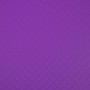 Porte-vues OPAK PP5/10e A4 100V violet