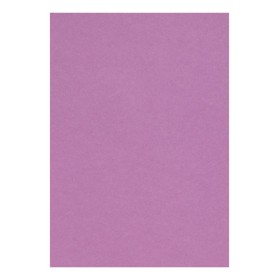 Etui Etival Color A4 5F 160g violet