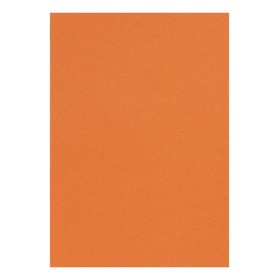 Etui Etival Color A4 5F 160g orange