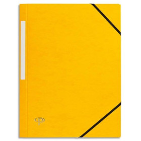 PRG CHEM 3RAB+ELS CARTE 390G J