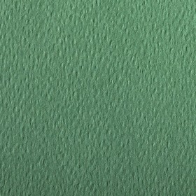 Paquet 24F Etival Color 160g 50x65 vert foncé