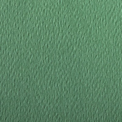 Paquet Etival Color A4 25F 160g Vert foncé