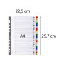 Intercal.A4 Alpha A-Z 20 PP coul.+ index