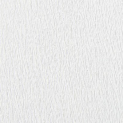 1 feuille Crépon non dégorgeant 2,50x0,50m - Blanc