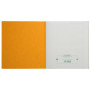 PIQ. 21/19 ECHEANCIER 80p.