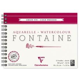 Album Fontaine RI Grain Fin 18x24 12F 300g