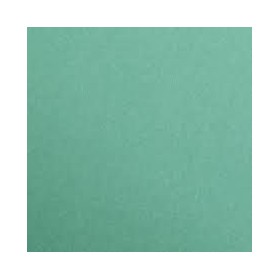 1F couleur Maya 50x70cm 120g vert sapin