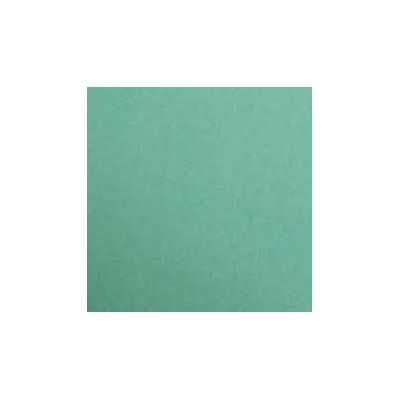 1F couleur Maya 50x70cm 120g vert sapin