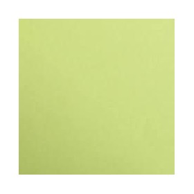 1F couleur Maya 50x70cm 120g vert mousse
