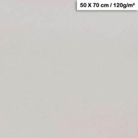 1F couleur Maya 50x70cm 120g gris clair