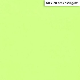 1F couleur Maya 50x70cm 120g vert menthe