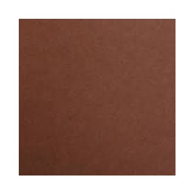 1F couleur Maya 50x70cm 120g marron