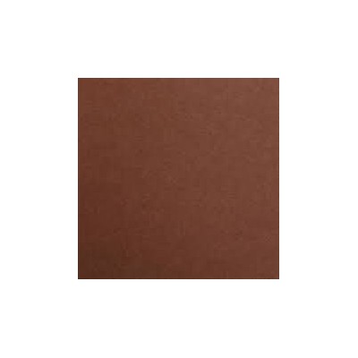 1F couleur Maya 50x70cm 120g marron