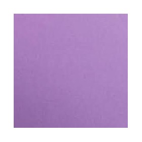 1F couleur Maya 50x70cm 210g violet